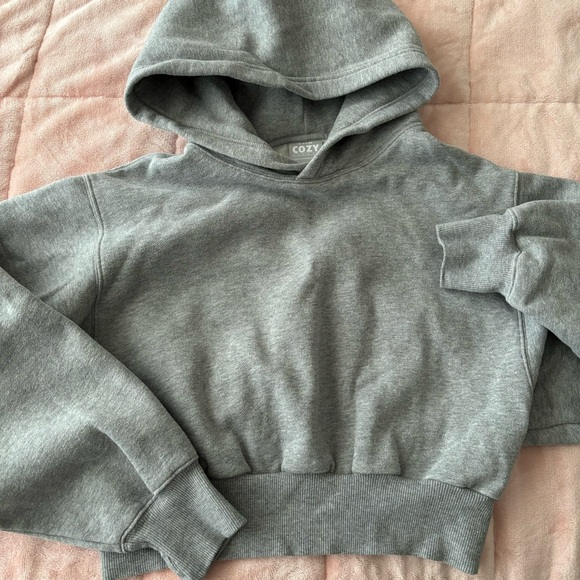 Aritzia COZY cropped hoodie - Picture 3 of 4